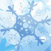snow-flake